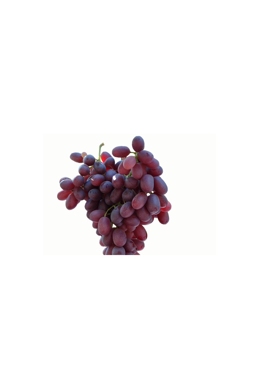 Uva Crimson Seedless