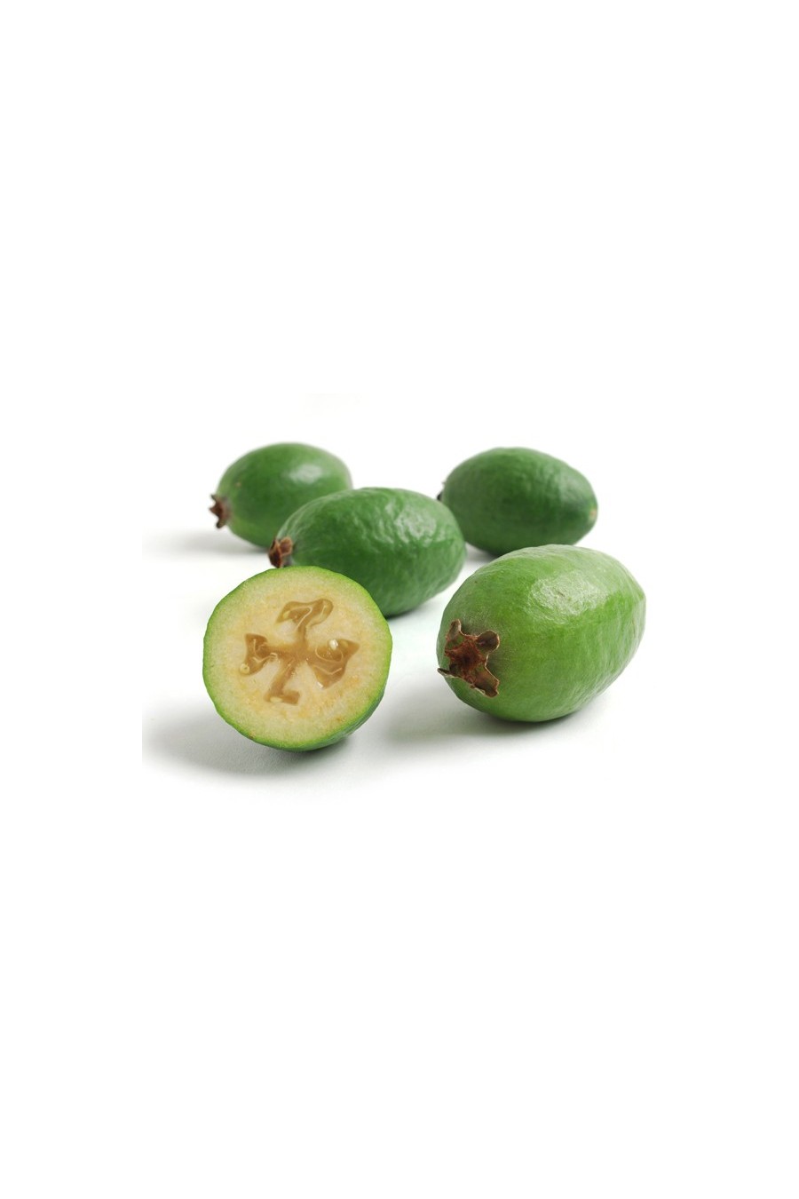 Feijoa 4/5 Anni