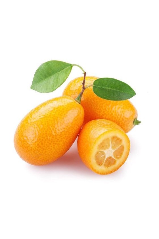 Kumquat (mandarino cinese)