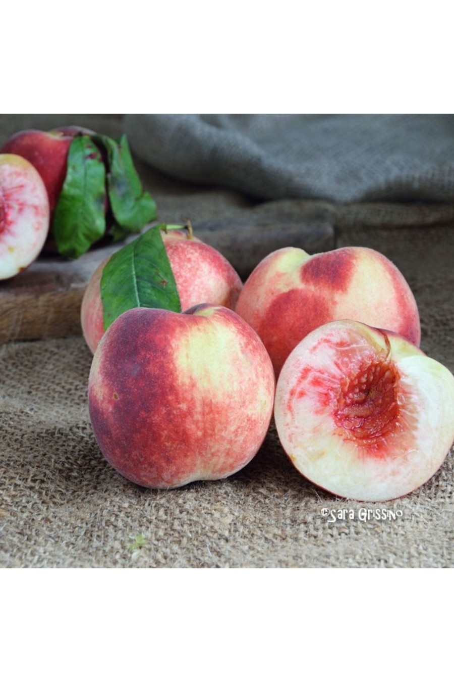 Pesco Rosso di Trento